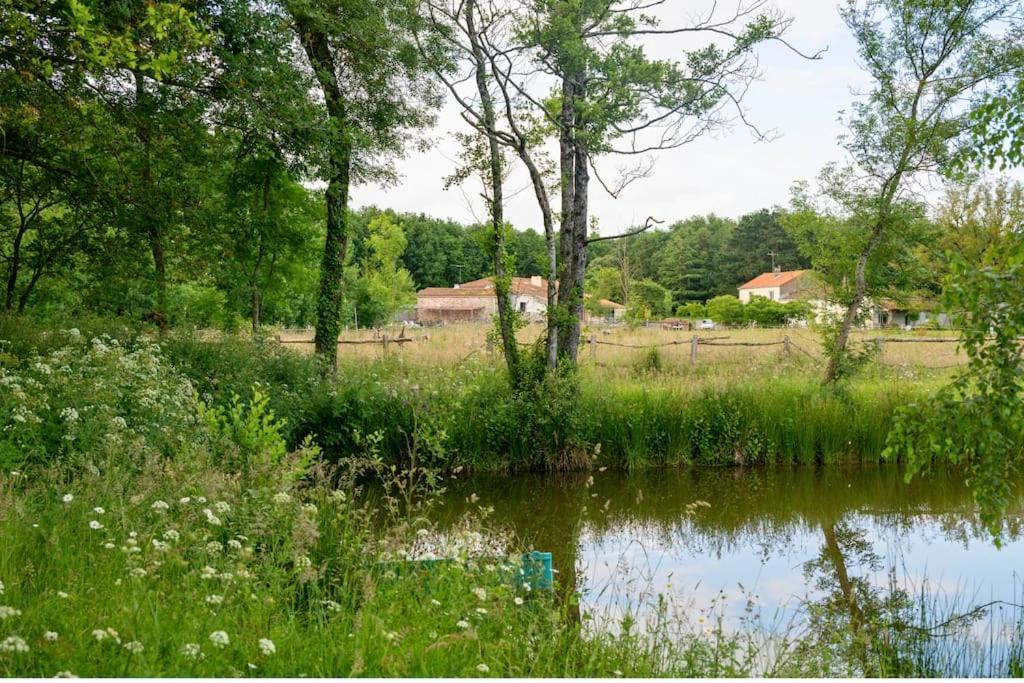 Sevremoine L'Evasion En Pierre Piscine Et Etang Prive 빌라 외부 사진